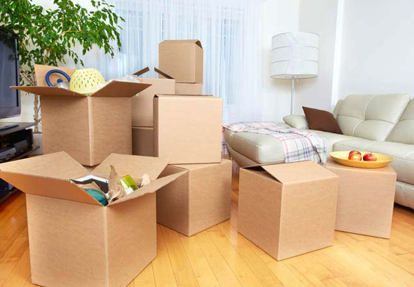 Packers and Movers Services In Shrilekha Network